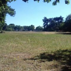 Un des sites envisagés pour la construction de la nouvelle salle de spectacle de Beaucouzé.